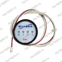 Манометр для котла Daewoo DGB-250 MSC (manomDGB250MSC)