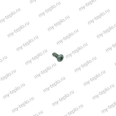 Винт M2,9x6,5 для котла Buderus Logamax U072-24K (vint2965LogU07224K)